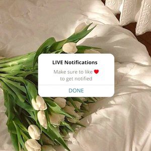 LIKE TO BE NOTIFIED OF FUTURE SHOWS